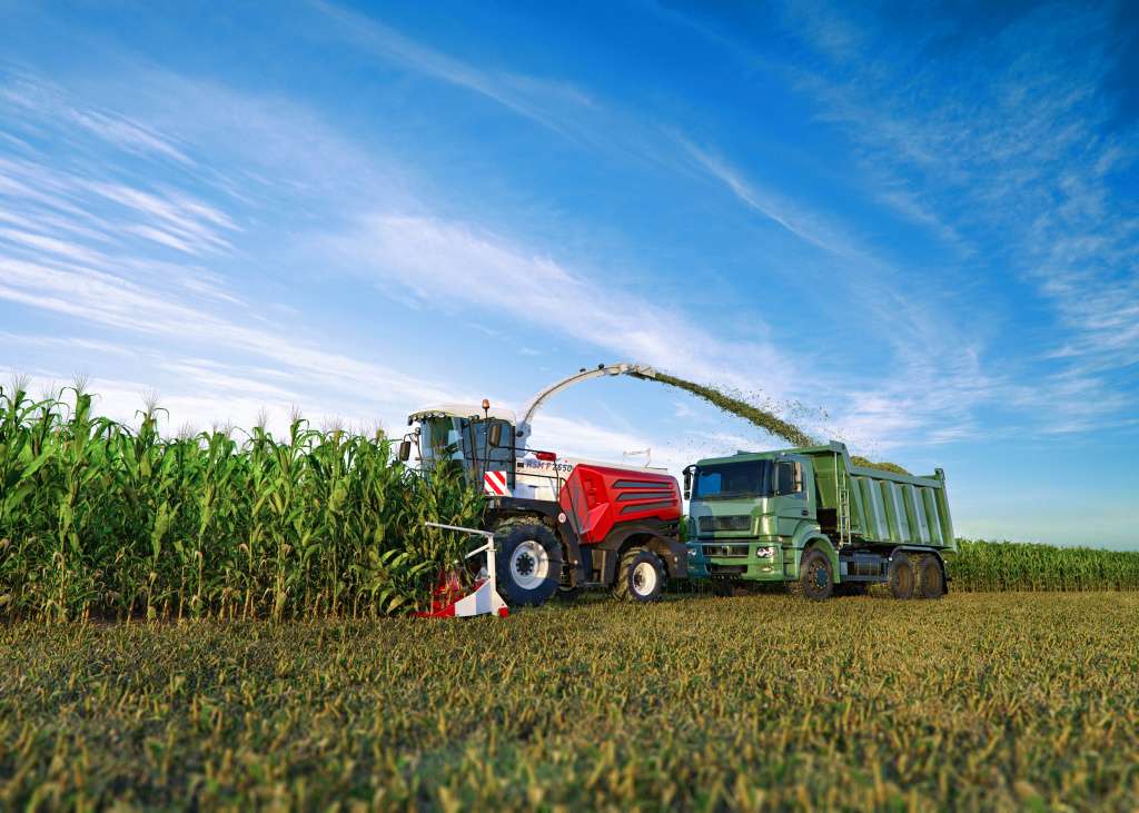 RSM F 2650 в работе с кукурузой RSM F 2650 в работе с кукурузой
